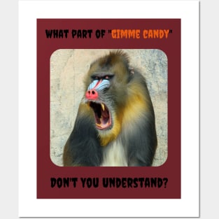 What Part of "Gimme Candy" Don't You Understand? (Baboon) Posters and Art